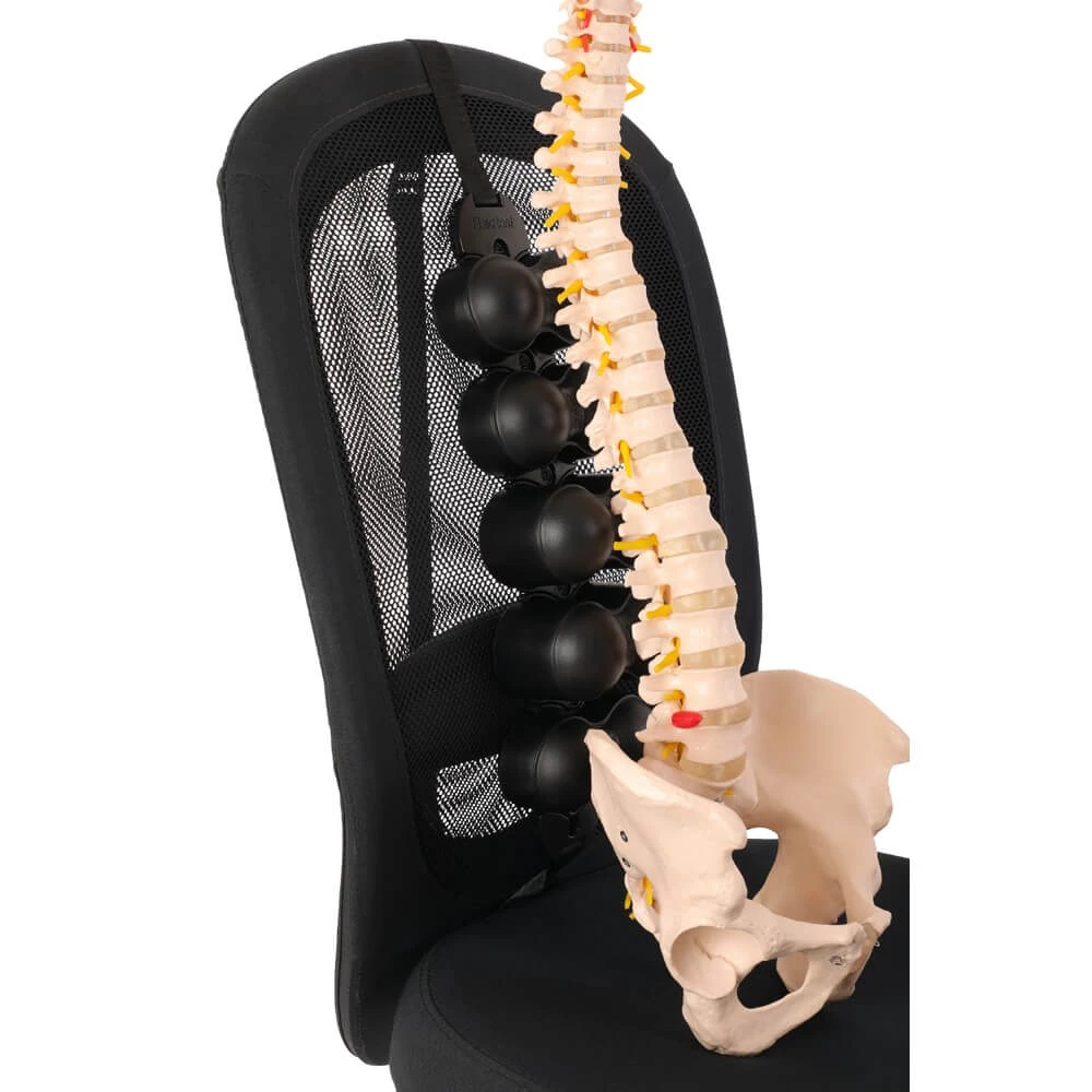 BakPhysio BakRest - Image 2