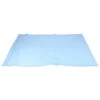 Pillow Case Plastic Blue