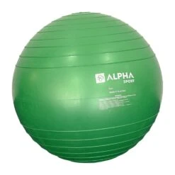 Alpha Sport Gym Ball 55cm (Green)